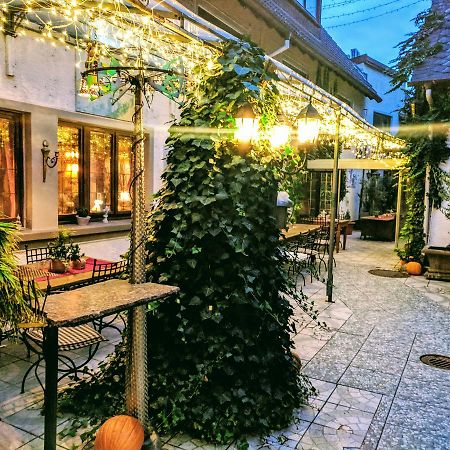 Hotel Peter Schaefer ギンスハイム・グスタフスブルク エクステリア 写真